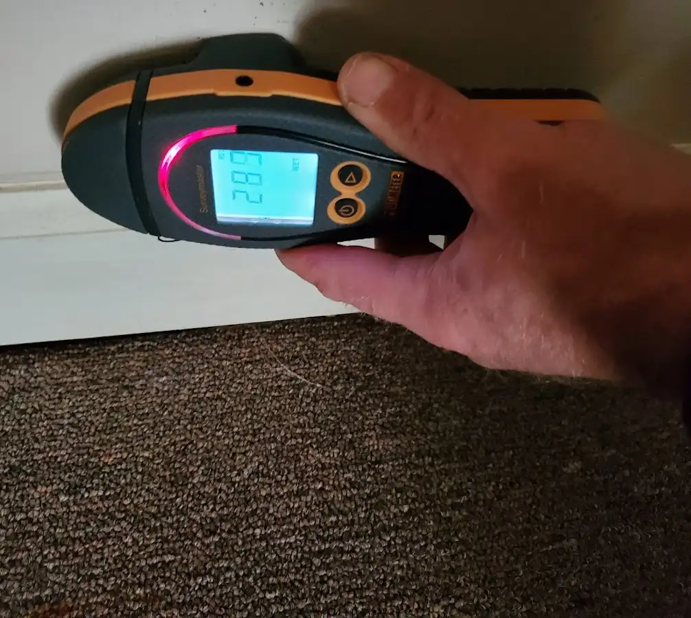 Moisture detection at baseboard during Mold Inspection & Testing in Aurora